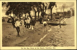 On the Bay Shore at the Beach Postcard
