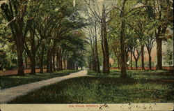 Elm Street Stratford, CT Postcard Postcard