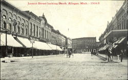 Locust Street looking South Postcard