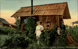 Cabin in Cedar Stump Washington Postcard Postcard