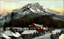Mt. Shasta, Winter Scene Postcard