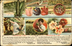 New Hybridized Potato Seed Postcard