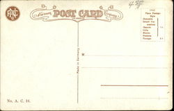 back