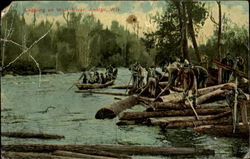 Logging on Wolf River, Antigo, Wis Wisconsin Postcard Postcard