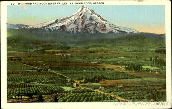 Mount Hood And Hood River Valley, Mt. Hood Loop, Oregon