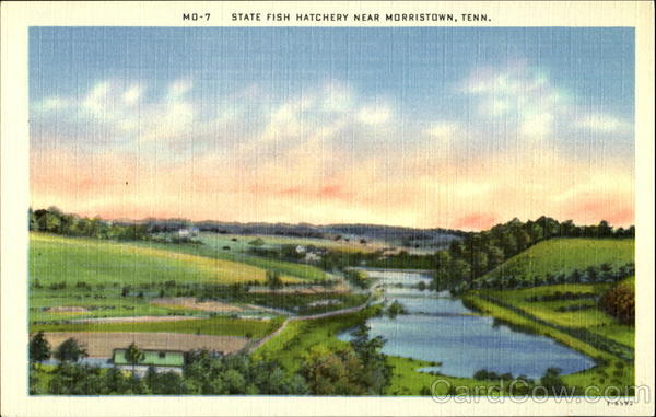 State Fish Hatchery Morristown Tennessee