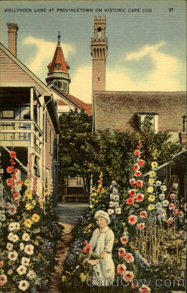 Hollyhock Lane at Provincetown on historic Cape Cod Massachusetts