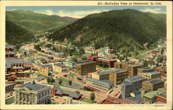 231-Bird's-Eye view of Deadwood South Dakota