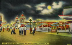 Moonlight View Funchase and Roller Coaster Wildwood, NJ Postcard Postcard