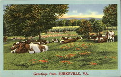 Greetings from Burkeville, Va Virginia Postcard Postcard