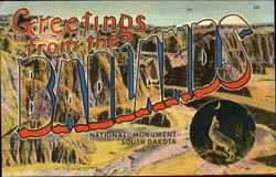 Greetings from the Badlands National Monument Postcard