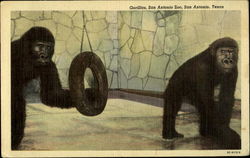 Stock #195173 Thumbnail