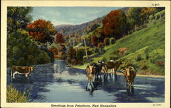 Greetings from Peterboro, New Hampshire Postcard
