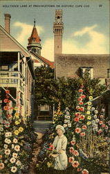 Hollyhock Lane at Provincetown on historic Cape Cod Postcard