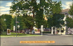 Library and Park Northumberland, PA Postcard Postcard