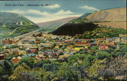Bird's Eye View Shamokin, PA Postcard Postcard