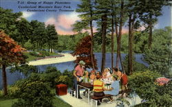 Cumberland Mountain State Park Postcard