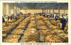 Interior of a Southern Loose-Leaf Tobacco Warehouse Postcard