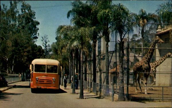 Touring Bus - San Diego Zoo California