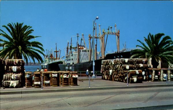 Waterfront Scene San Diego California