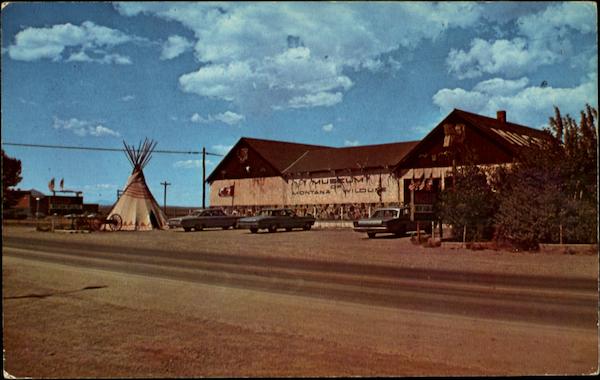 Museum of Montana Wildlife Browning