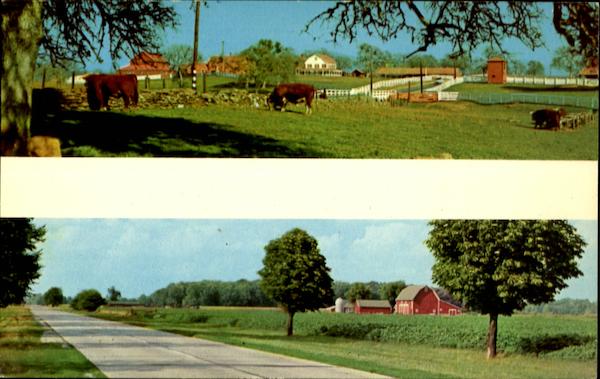 Views of Farms Farming
