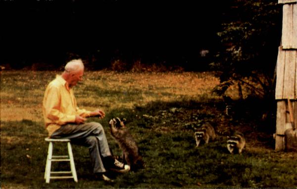 Harry Truman Mount St. Helens Washington