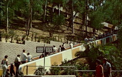 Stock #195635 Thumbnail