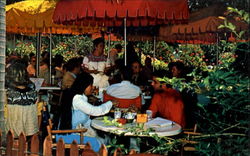 Stock #195638 Thumbnail