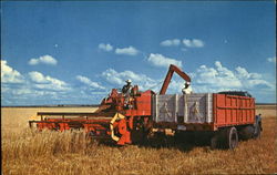 Combining in the Wheatfield of the West Postcard