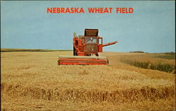 Nebraska Wheat Field Postcard Postcard