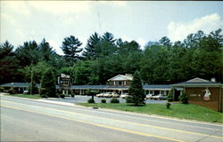 Apple Blossom Black Mountain, NC Postcard Postcard