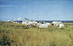 Encampment of Cree Indians at Moose Factory Postcard