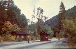 Yosemite National Park Merced, CA Postcard Postcard