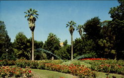 Capital Park Sacramento, CA Postcard Postcard