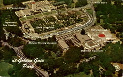 Golden Gate Park Postcard