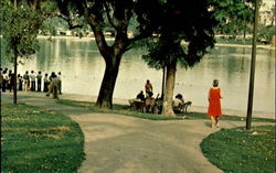 MacAurther Park Postcard