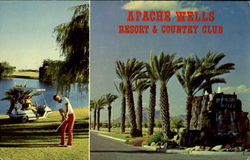 Apache Will Resort and Country Club Postcard