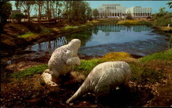 Rancho La Brea Tar Pits Postcard