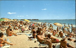 Sunbathing at Old Orchard Beach Maine Postcard Postcard