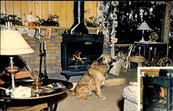 No. 3 Franklin Stove Postcard