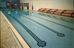New Y.M.C.A. swimming pool Postcard