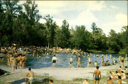 Rock Springs Apopka, FL Postcard Postcard