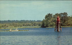 Fishing off Hontoon Island Deland, FL Postcard Postcard