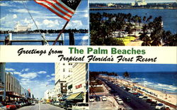 Greetings from The Palm Beaches Tropical Florida's First Resort Postcard Postcard