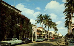 Palm Beach, Florida Postcard Postcard