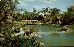 Tiki Gardens, a Polynesian Paradise Postcard