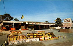 Lee's trading post Clearwater, FL Postcard Postcard