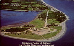 Miniature Florida of Bathurst La "Floride Miniature" de Bathurst Postcard