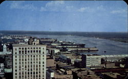 Left bank of St. Johns River Postcard